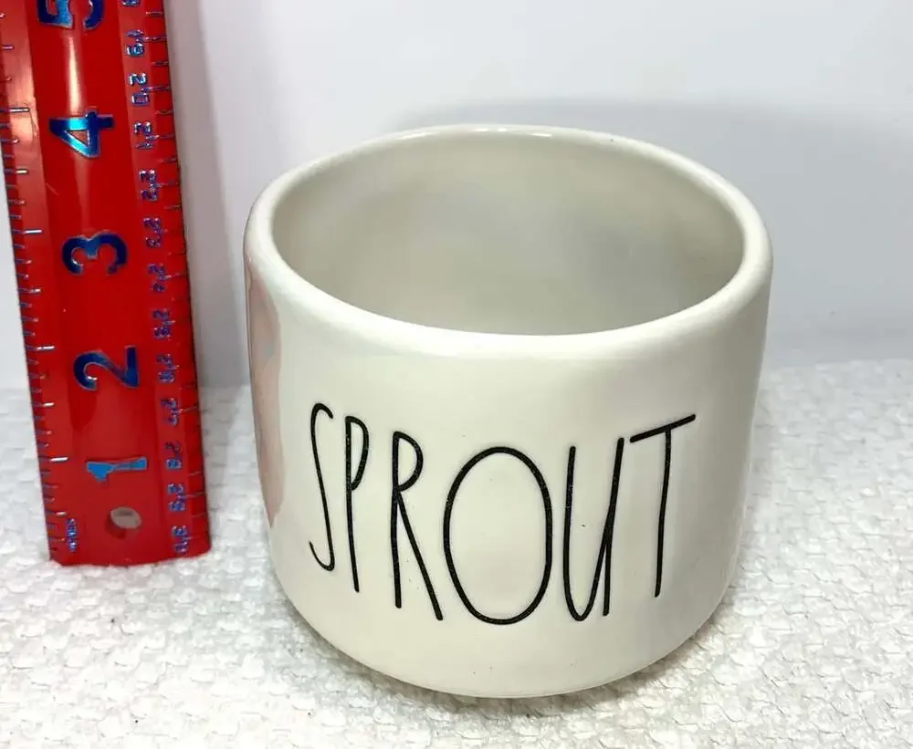 Rae Dunn Sprout Planter